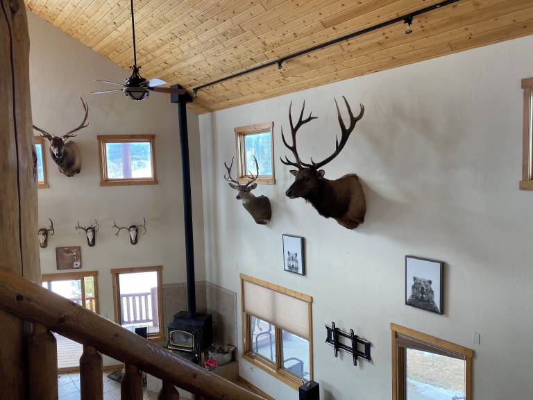 Cabin Heeney