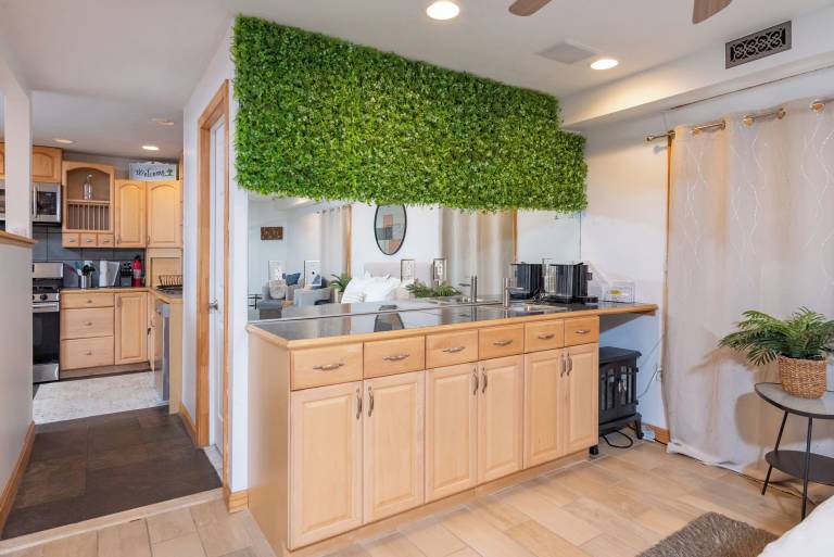 Apartment  Stoneham