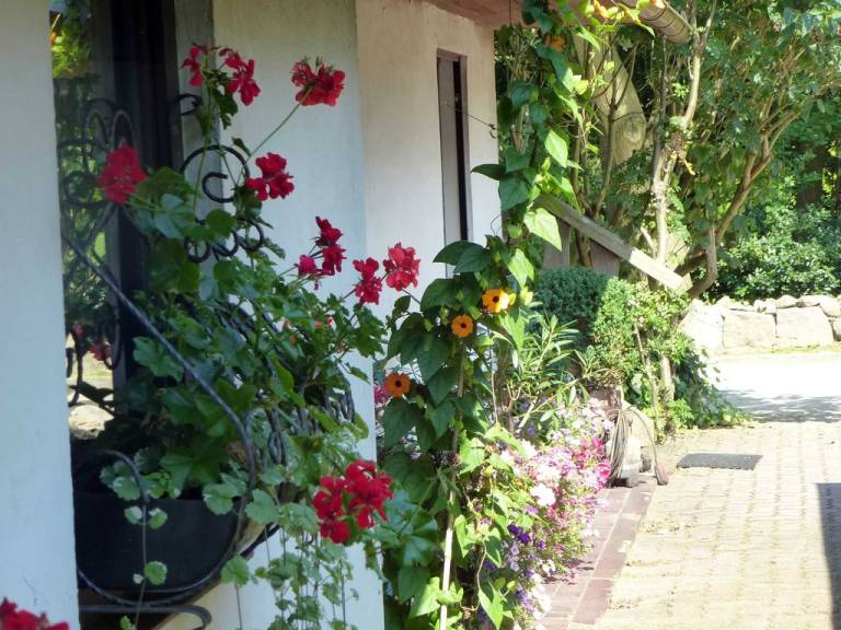 foto28