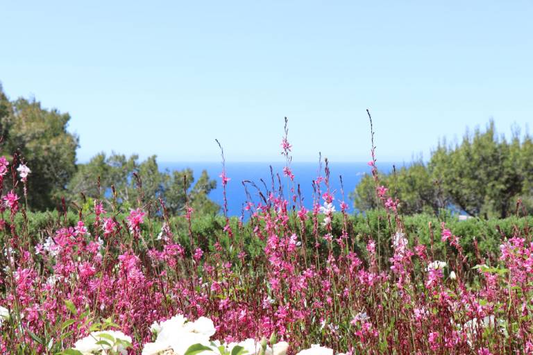 Appartamento vacanza Carqueiranne