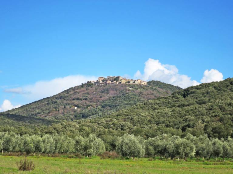 foto15