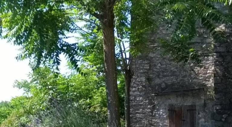 foto10