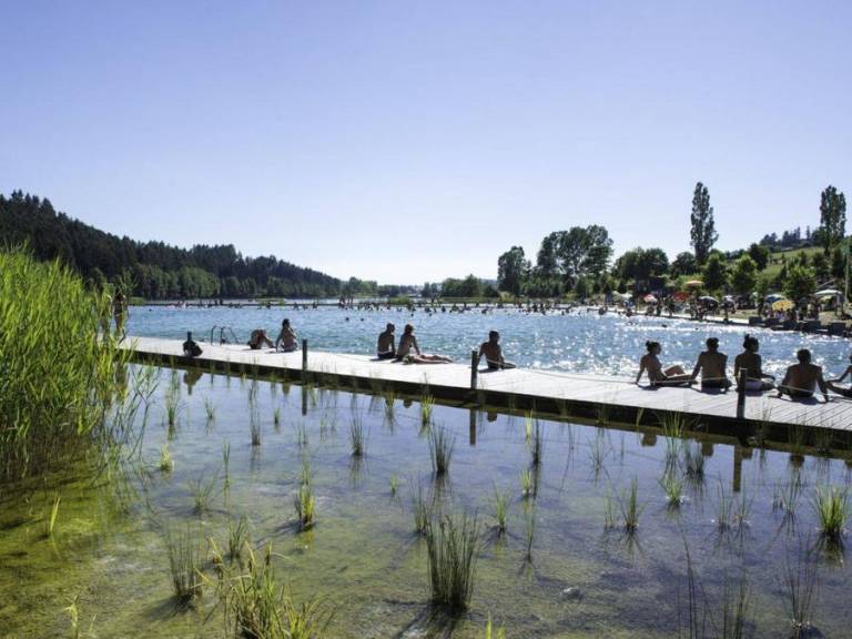 Chalet Saint-Victor-sur-Rhins