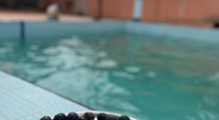 House with pool & hot tub | Pet-friendly in Essaouira