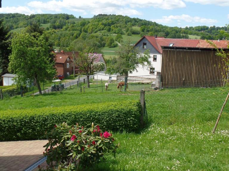 foto28