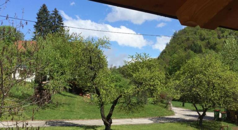 foto43