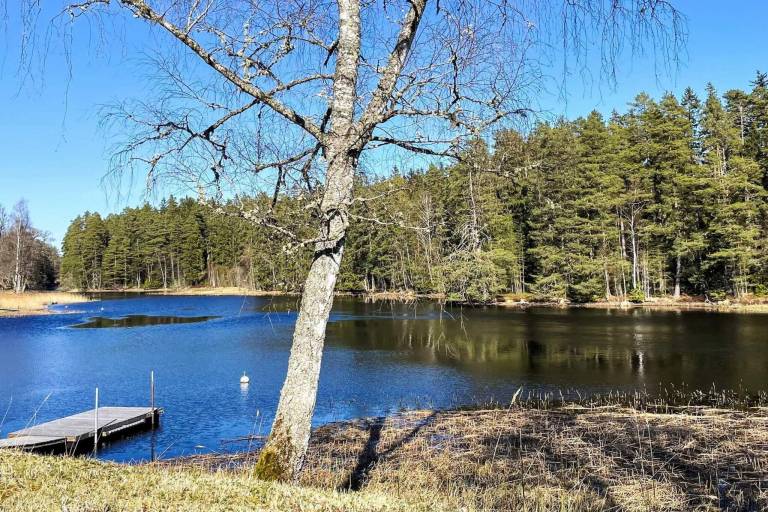 Beautiful vacation home | Pets are welcome — photo 2