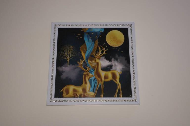 foto14