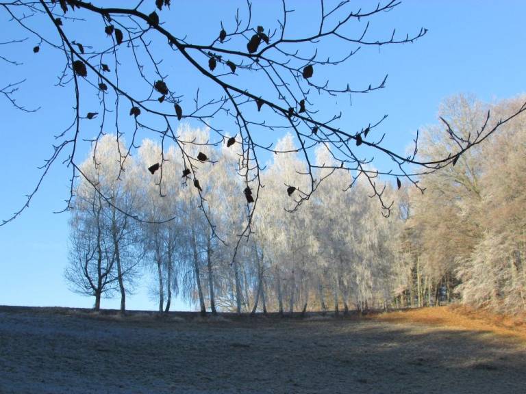 foto16