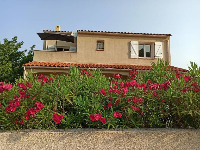 Appartement Amélie-les-Bains-Palalda