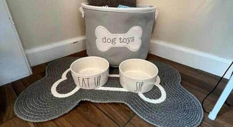 Lovely house with yard | Pets are welcome — photo 4