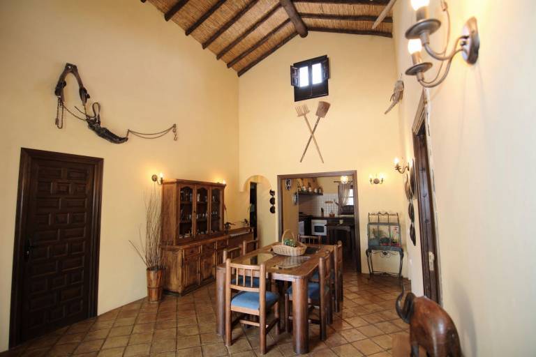 Child-friendly cottage with barbecue, patio & private pool | Nature view | Pets are welcome — photo 5