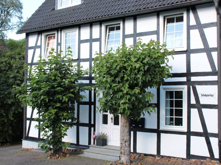 Ferienhaus Olsberg