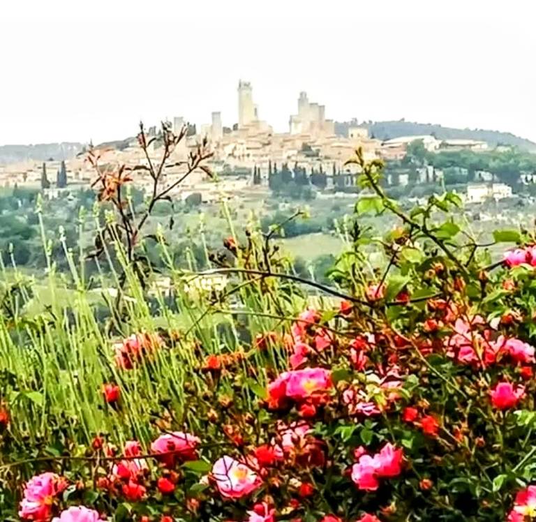 Privatzimmer Colle di Val d'Elsa
