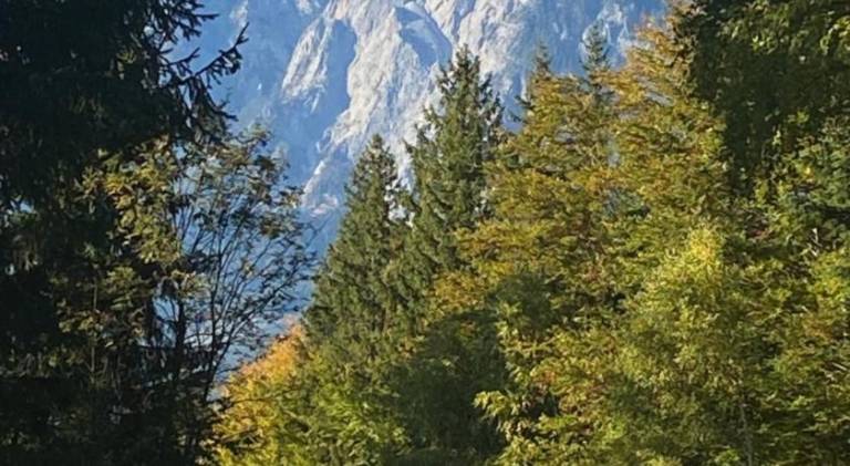 foto38