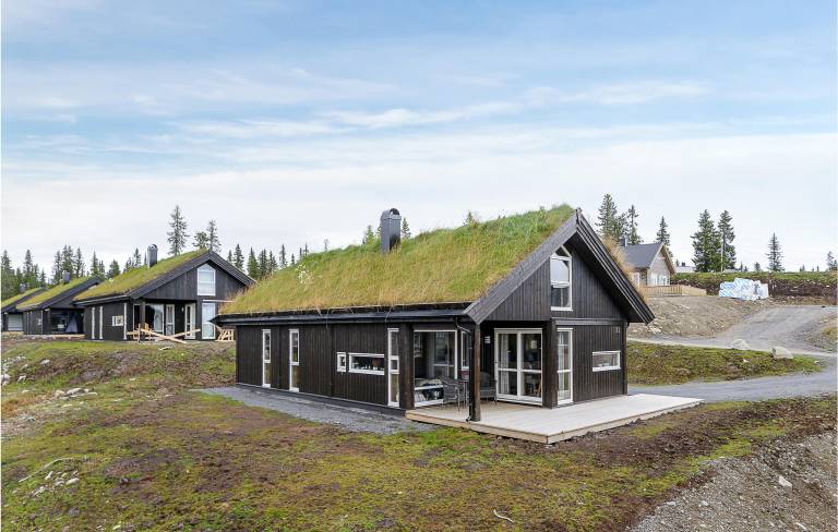 Feriehus Sjusjøen