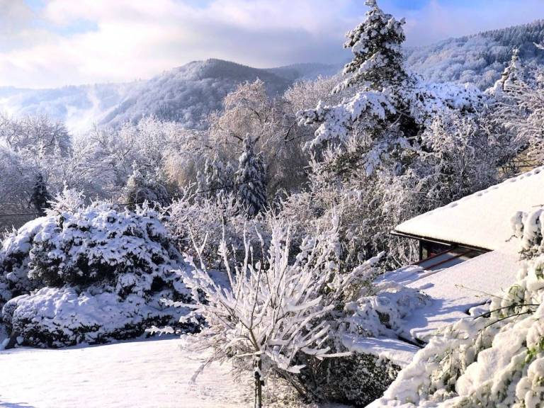 Chalet Aywaille