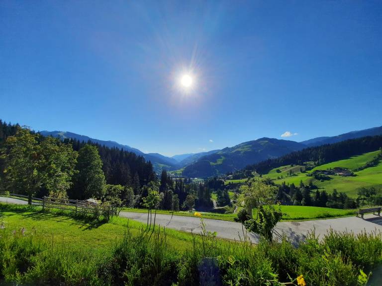 Ferienhaus Wagrain