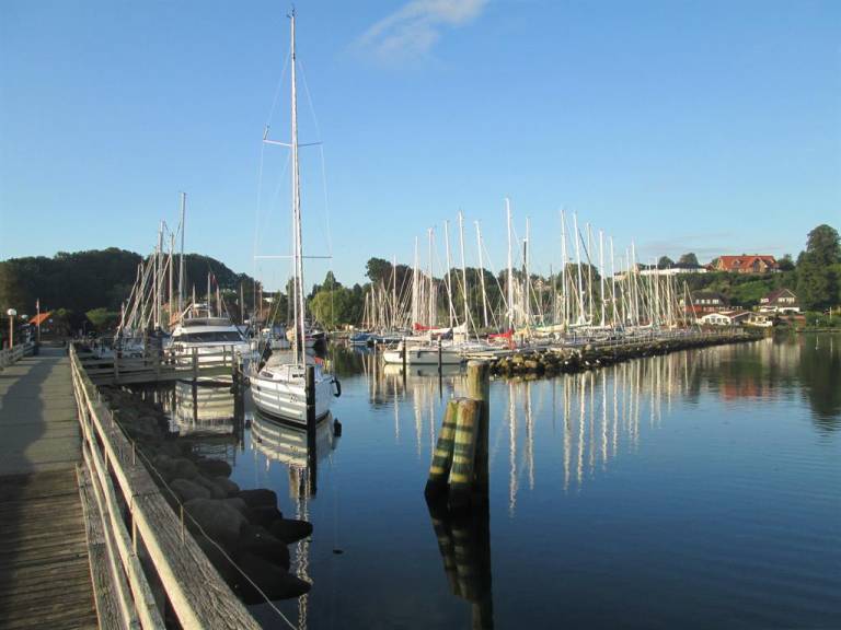 foto6