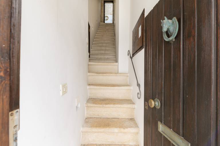 Rental apartment with terrace — photo 3