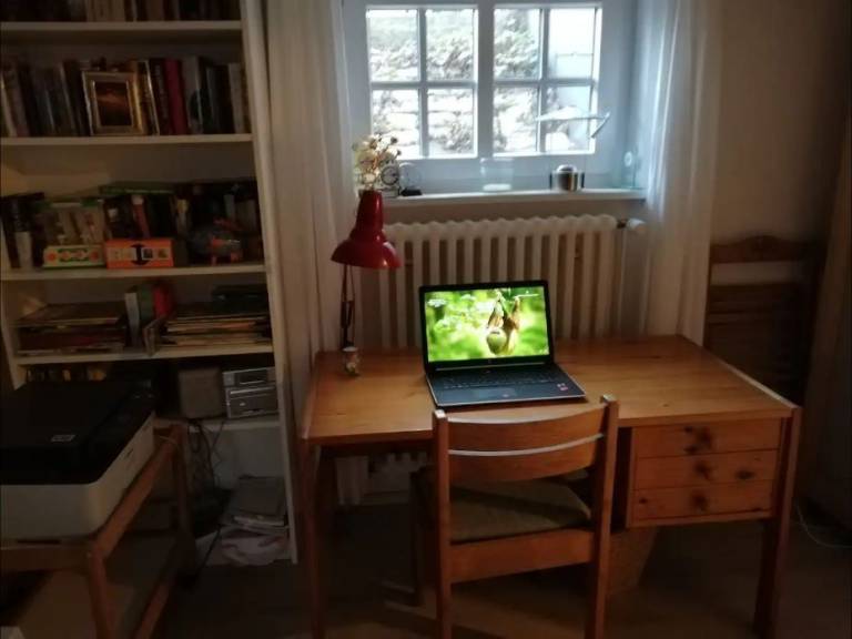 foto12