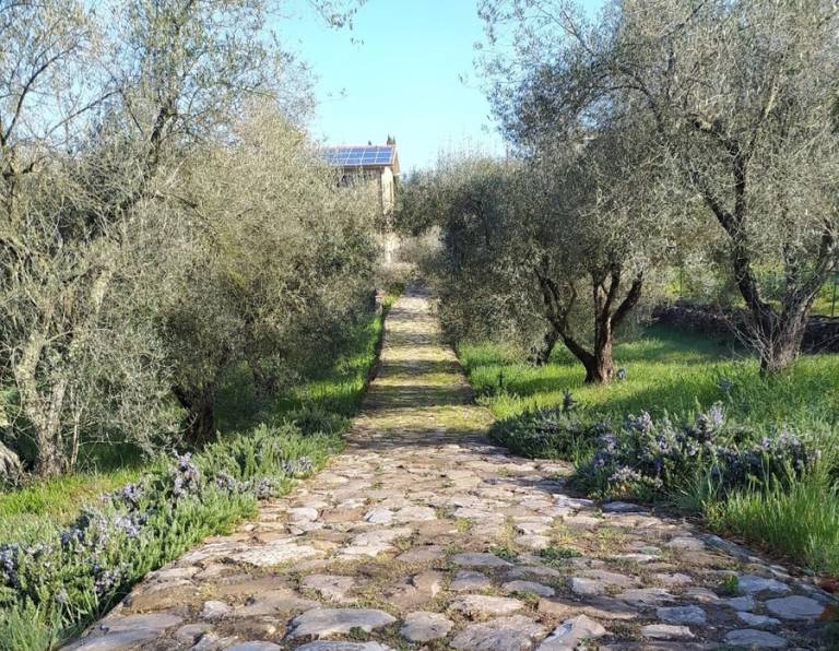 Mosaico Oltre il Giardino: Casale Rosmarino tra gli ulivi — photo 3