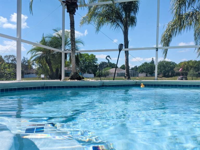 House with private pool — photo 3