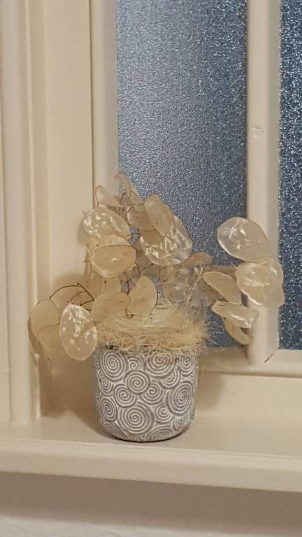 foto14