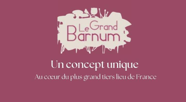 Hotel Le Grand Barnum in Lyon