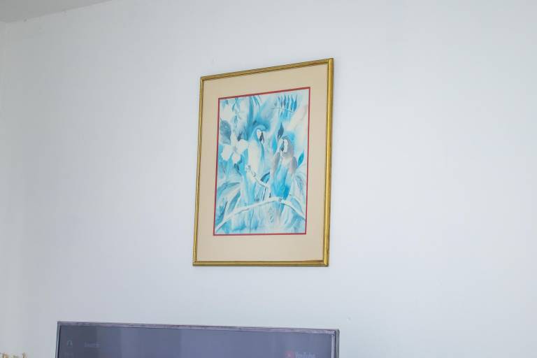 foto9