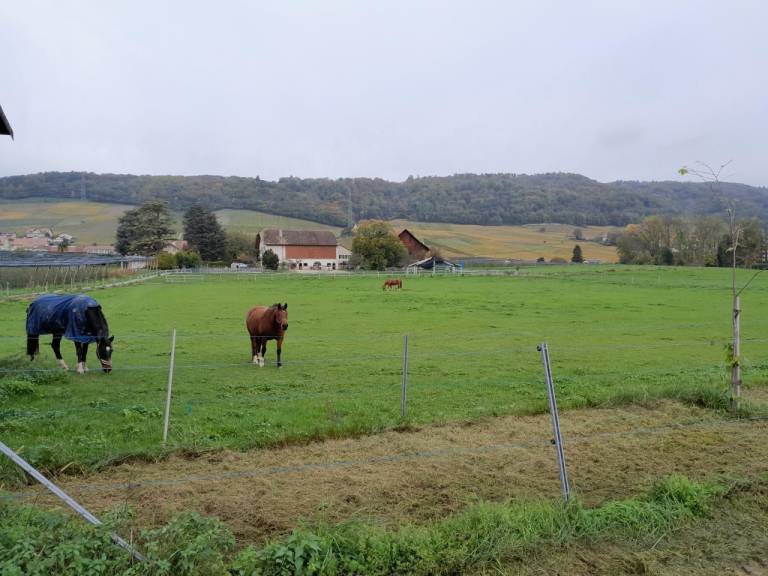 foto22