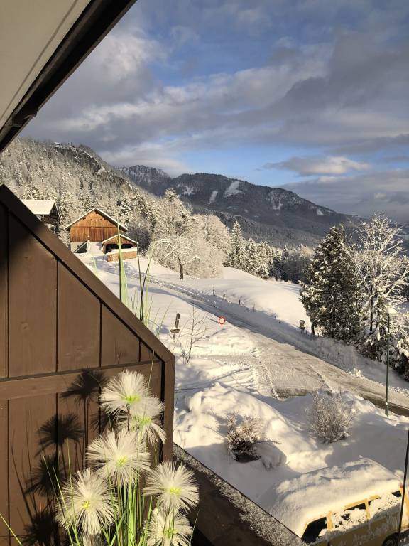 Ferienwohnung  Gemeinde Bad Goisern am Hallstättersee