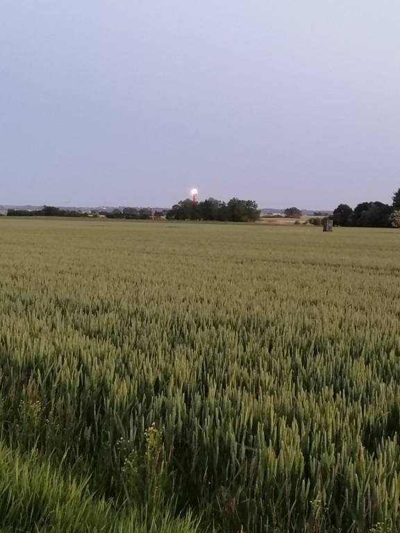 foto16