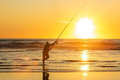 Foxton Beach Holiday Park