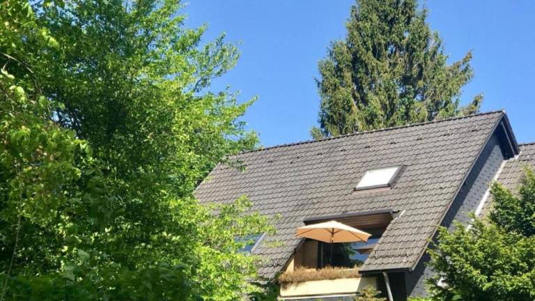 Ferienwohnung  Lautenthal