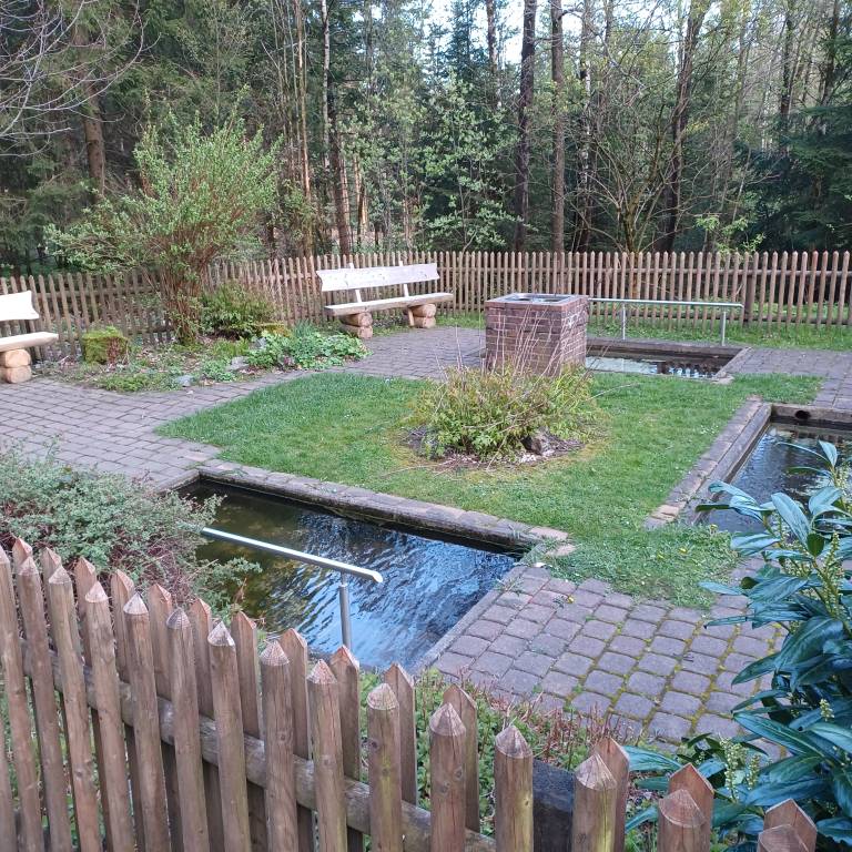 foto26