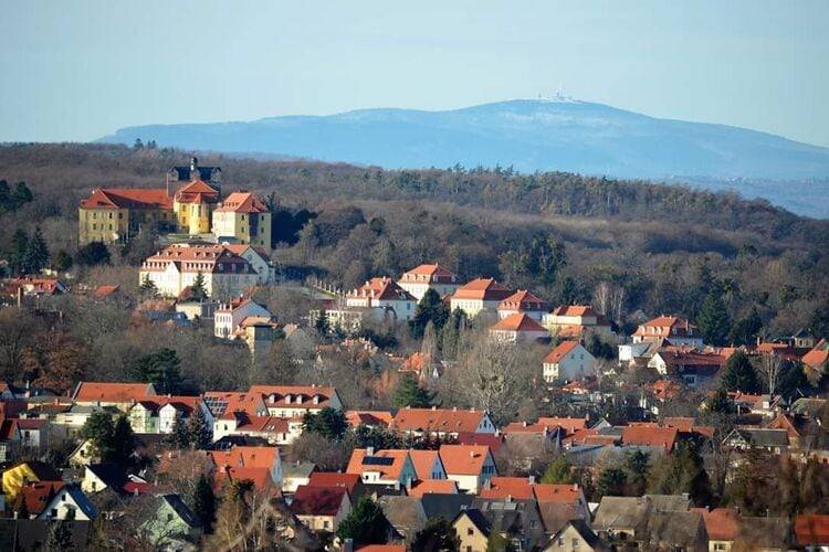 foto41