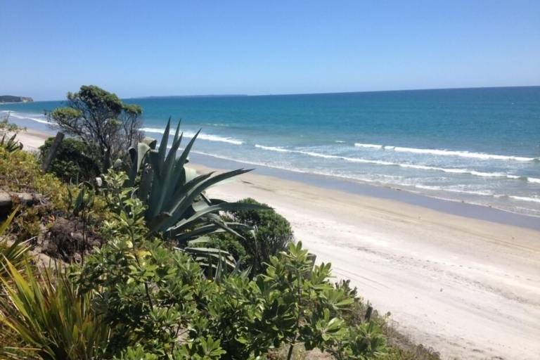 Ferienhaus  Pukehina