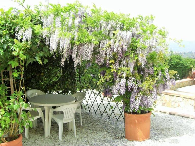 Agriturismo Impruneta
