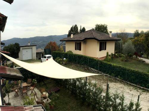 foto2