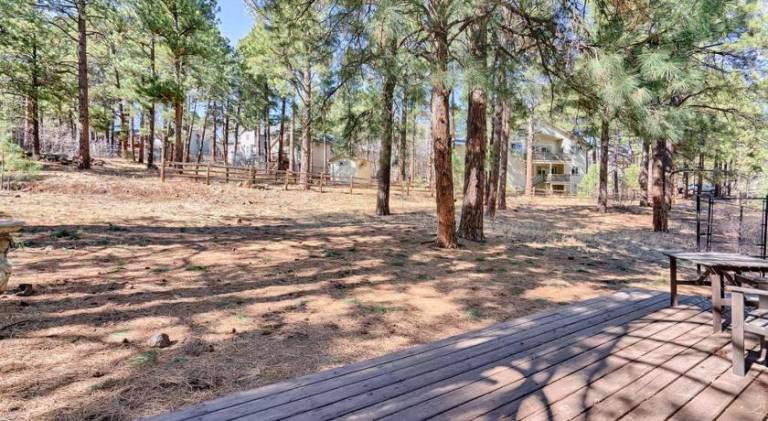 Beautiful vacation home | Pets allowed — photo 5