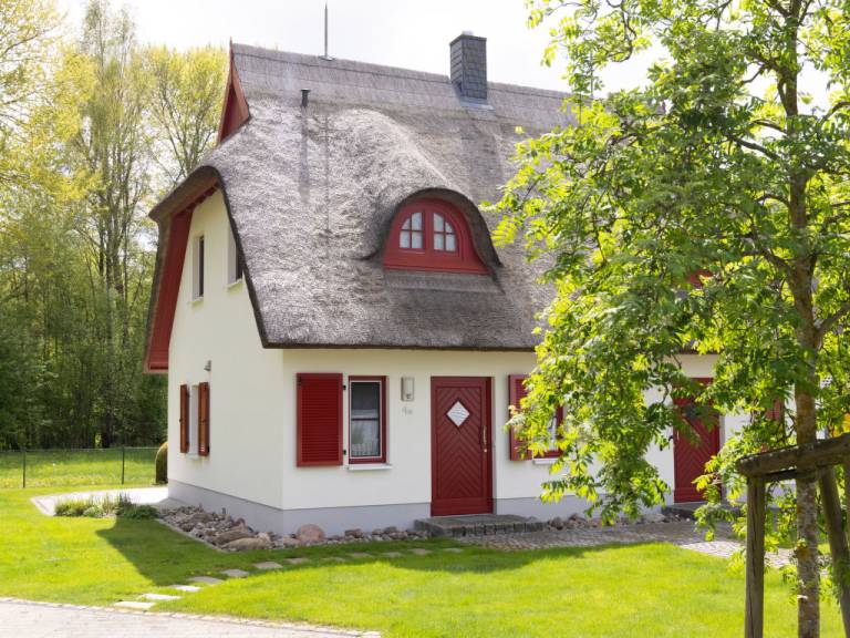 foto39