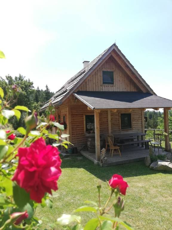 Ferienhaus  Reichenfels