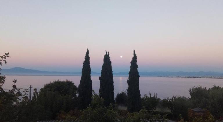 Lovely rental apartment with patio | Dogs allowed in Kalamata