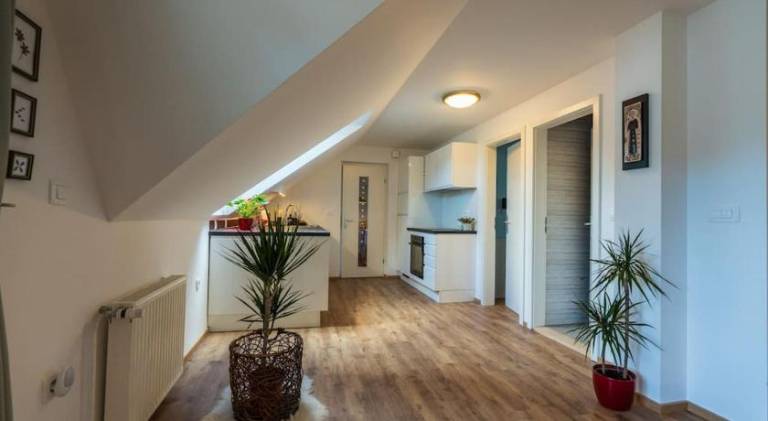 Apartment | Pet-friendly — photo 3