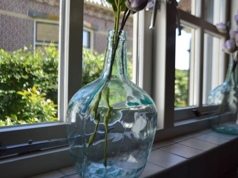 foto11