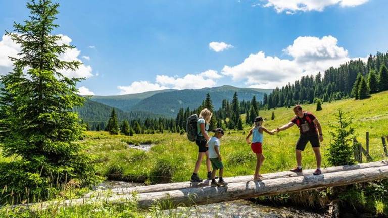 Ferienhaus in Gemeinde Metnitz,  f&uuml;r max. 4 Personen