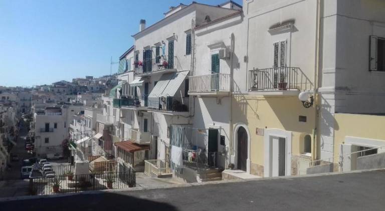 Holiday apartment | Next to the beach | Pet-friendly — photo 4