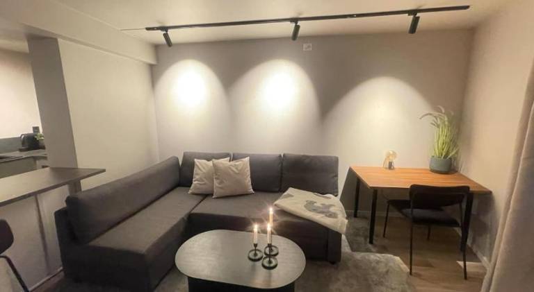 Apartment | Pets are welcome — photo 3