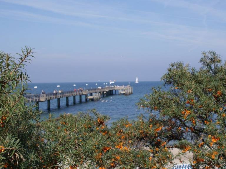foto12